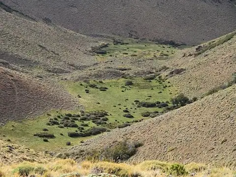 Esquel - Ruta 40 - Productivo, Forestal, Caza y Pesca, Recreativo; a solo 20´del aeropuerto.