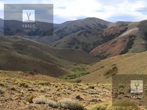 Estancia en Esquel, Productivo, Forestal, Caza y Pesca, Recreativo, a solo 20´de aeropuerto.