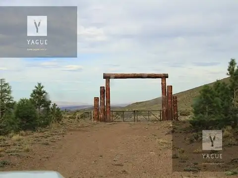 Estancia en Esquel, Productivo, Forestal, Caza y Pesca, Recreativo, a solo 20´de aeropuerto.