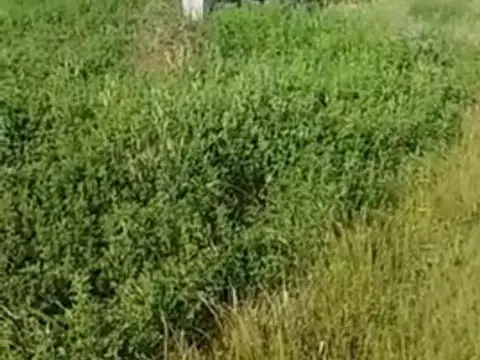 Terreno en Venta en Altos Del Mar Golf, USD 13.000