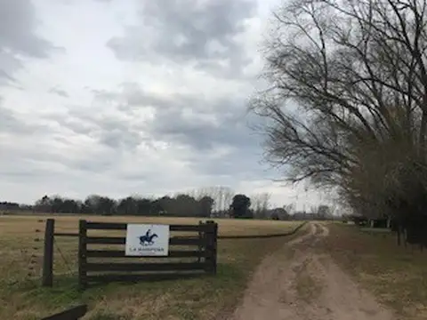 13 HA a la venta, muy buena ubicación cercana a Ruta n46 y a la Ciudad