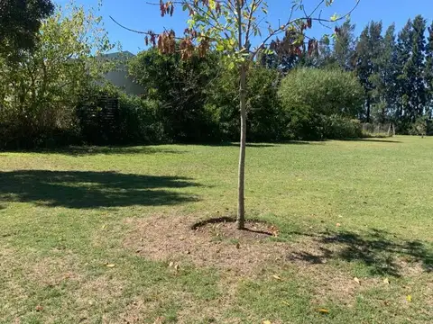 Barrio Santa Teresa, Villanueva, Tigre, Deán Funes 3700