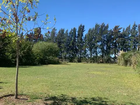 VENTA LOTE EN B° SANTA TERESA TIGRE VILLANUEVA