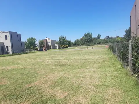 Calle Oldman  al 700