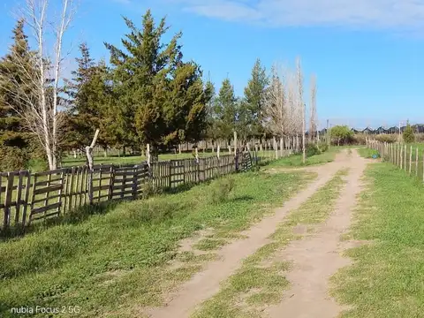 Terreno en Venta 58  mts Frente