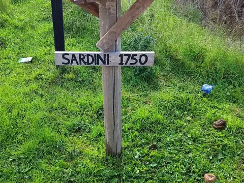 Sardini al 1700