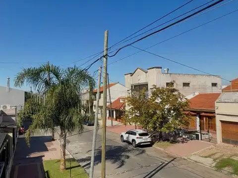 Campichuelo 1000