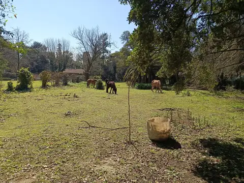 Terreno en Venta en Ituzaingo, Ituzaingó