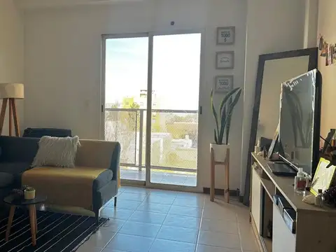 Teniente Ibañez 500