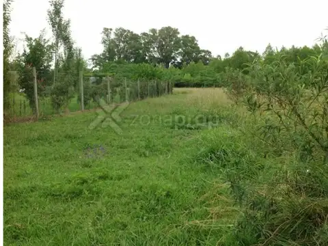 Terreno en Venta de 30000,0 m2