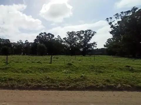 Terreno en Venta 10  mts Frente