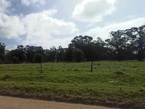 Terreno en Venta 40  mts Fondo