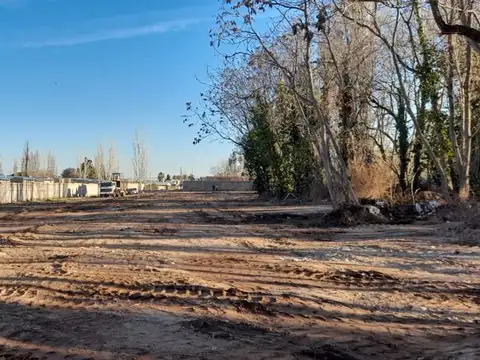 Terreno en Venta en Lujan de Cuyo, Luján de Cuyo