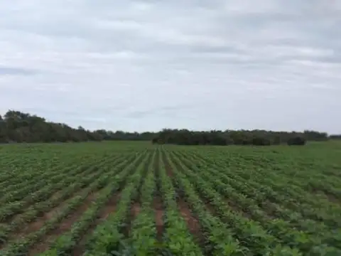 CAMPO AGRICOLA 76HAS EN LAS ARRIAS