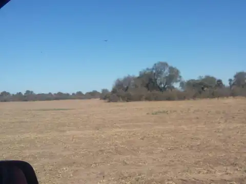 CAMPO AGRICOLA 76HAS EN LAS ARRIAS