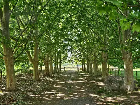 Chacra Puesto del Rincón, Estancia Benquerencia