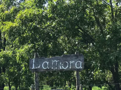 Terreno en Venta en Santa Rosa de Calchines, Garay