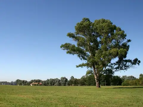 Terreno en Venta en La Ranita, USD 42.000