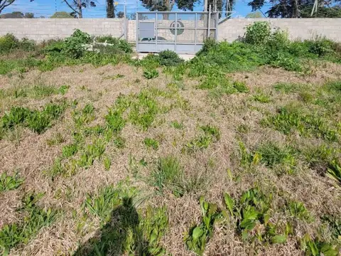 Terreno en Venta 40  mts Frente
