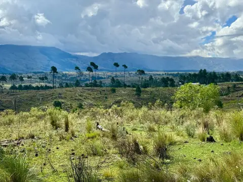 Terreno en Venta de 30613,0 m2