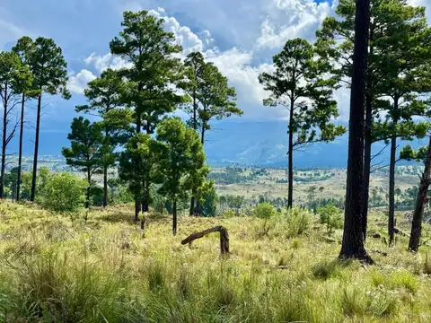 Terreno en Venta de 30613,0 m2