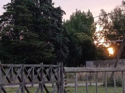 Terreno en Venta 46  mts Fondo