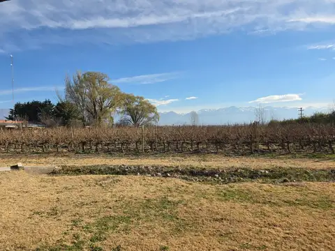 FINCA Y COMPLEJO TURÍSTICO EN VENTA EN TUNUYÁN