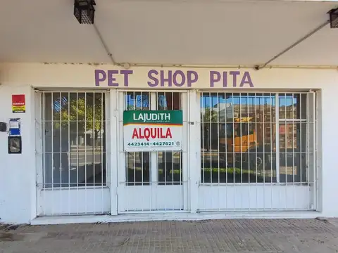 local en excelente ubicación sobre Avenida comercial