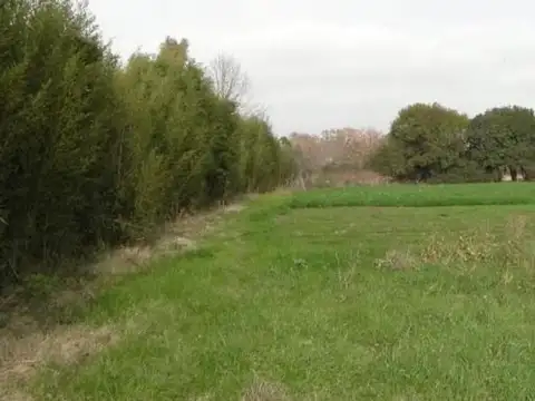 Terreno en Venta 100  mts Frente
