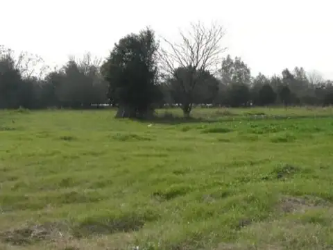 Terreno en Venta de 30000,0 m2