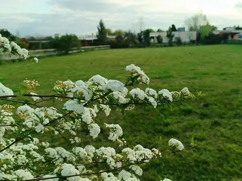 LOTE VENTA LOMAS DE SAN FRANCISCO OPEN DOOR LUJAN