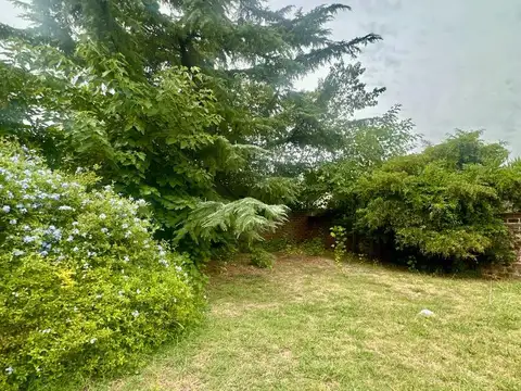 Terreno en Venta 40  mts Fondo