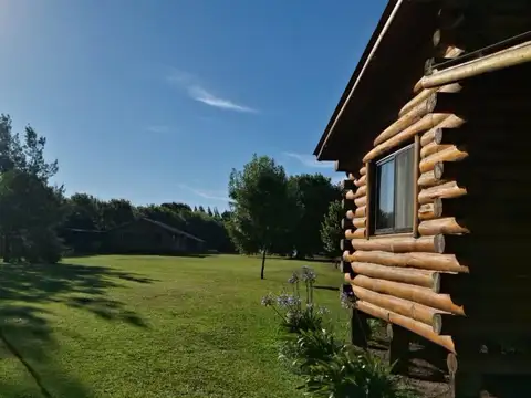 Domingo Masciotra 900