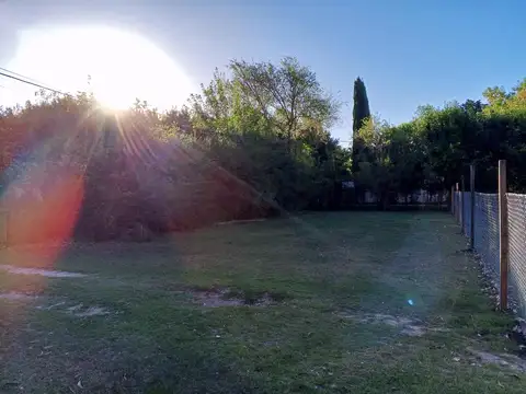 LOTE EN VENTA 19 y 646