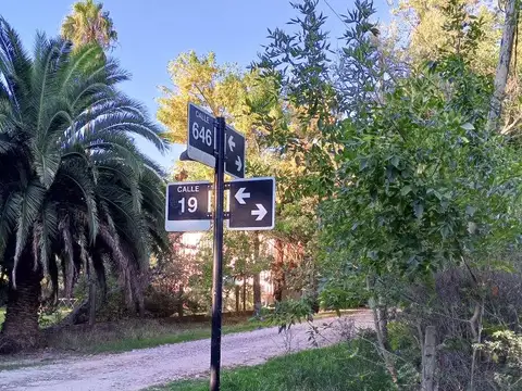 19 Y 646