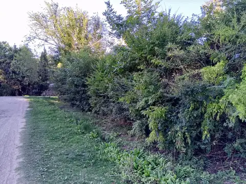 Terreno en Venta de 480,0 m2