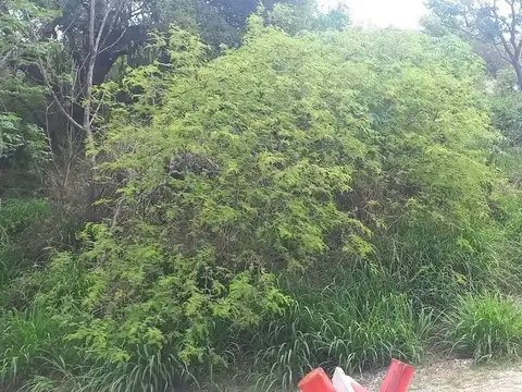 Terreno en Venta de 895,0 m2