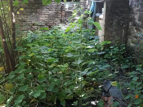 Terreno en Venta de 320,0 m2