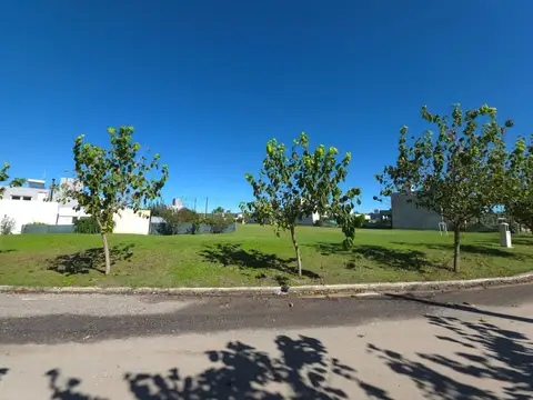 Terreno en Venta en Tejas 4, USD 32.500
