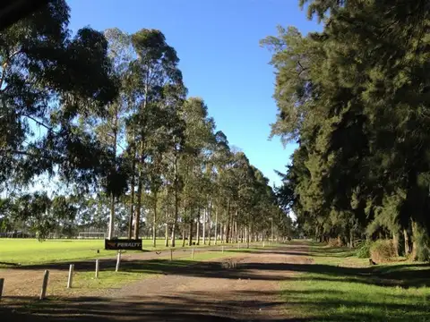 Terreno en Venta - USD 45.000