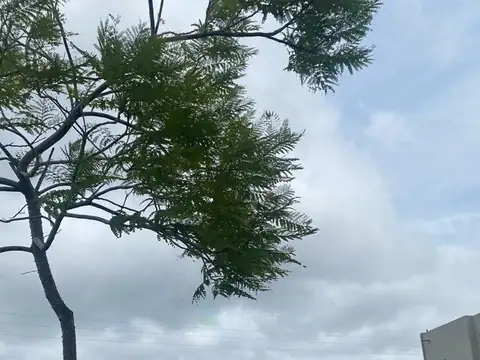 Blvd. Los Castaños 320, Rincón de Milberg, Provincia de Buenos Aires