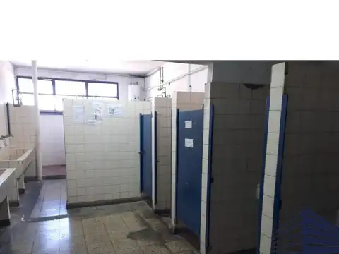 Dorrego 3800