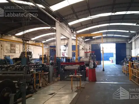 Dorrego