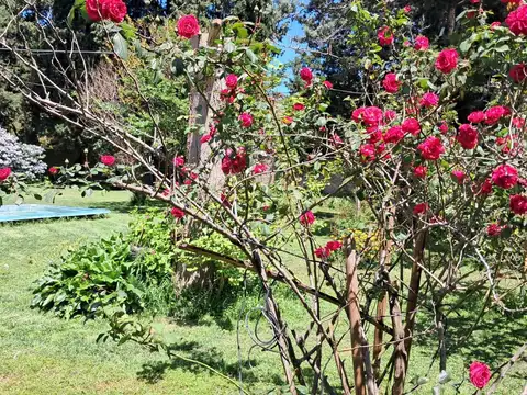 Terreno en Venta 23  mts Fondo