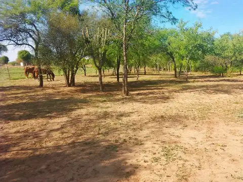 VENDO HECTAREA -EL MANANTIAL-