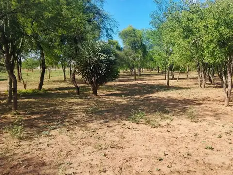 El Manantial 100