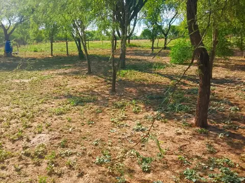 VENDO HECTAREA -EL MANANTIAL-