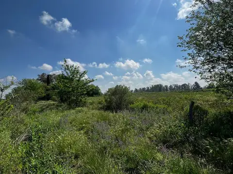 Terreno en Venta en Ibarlucea, USD 210.000