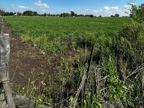 Terreno en Venta de 30000,0 m2