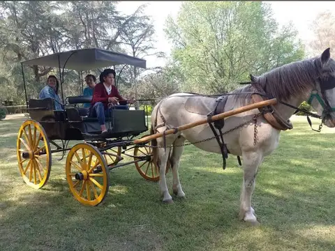 Terreno en Venta de 100000,0 m2